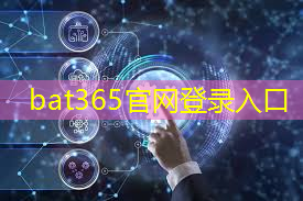 bat365：黑龙江智慧城市项目叫停