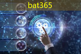 bat365：智慧城市数据大赛作品