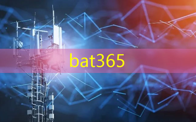 bat365官网登录入口：河间大川智慧城市多少户